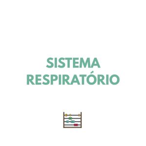 Resumo CN - Sistema respiratório