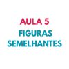 AULA 5
