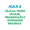 AULA 6