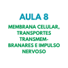 AULA 8