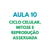 AULA 10