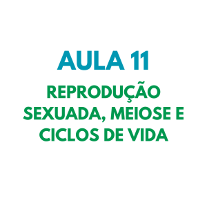 AULA 11