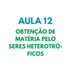 AULA 12