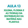 AULA 13