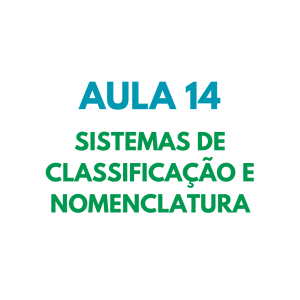 AULA 14