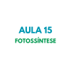 AULA 15