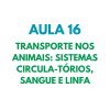 AULA 16