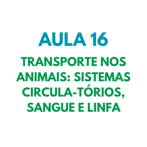 AULA 16