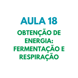 AULA 18