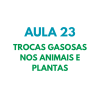 AULA 23